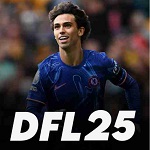 DFL 25