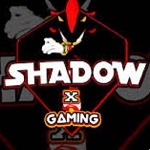 Shadow Bot