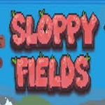 Sloppy Fields