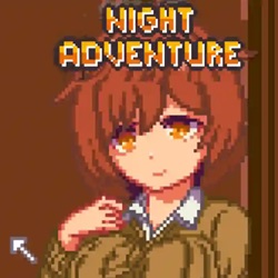 Night Adventure